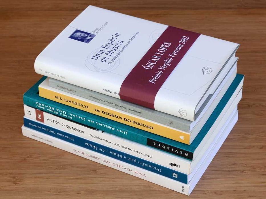 Lote de livros - Ensaios/estudos Literatura Portuguesa