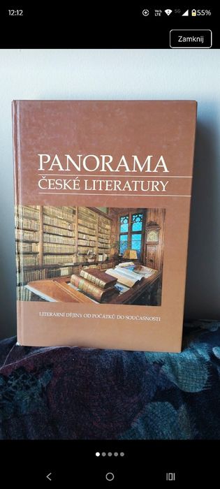 Panorama české literatury