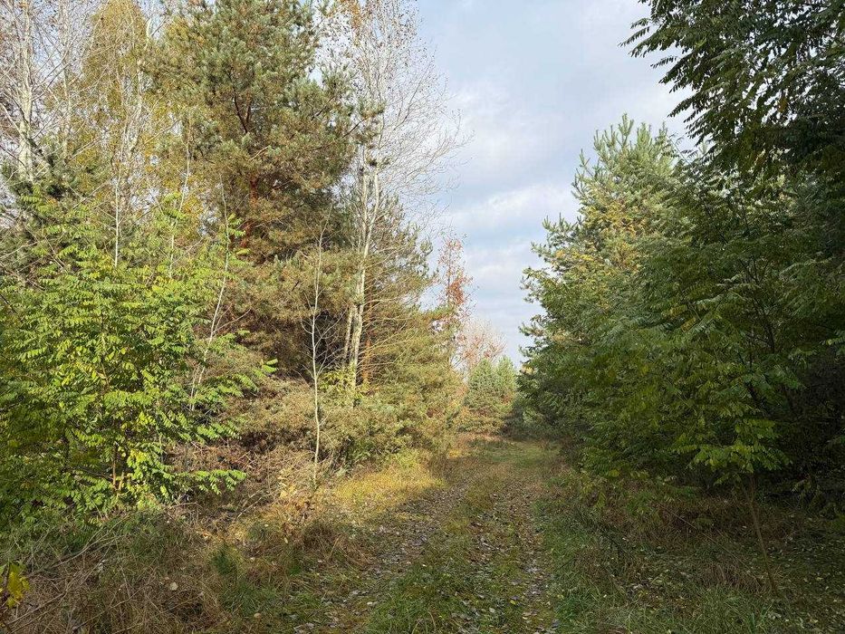 Продаж ділянки Михайлівка-Рубежівка 39,1 соток,під ОСГ. ID: 701