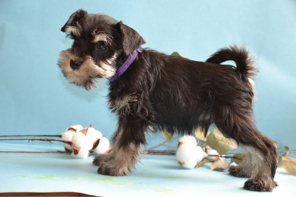 Подаруйте собі свято