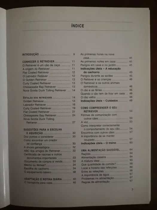 "O Retriever" de Brigitte Schneidermann