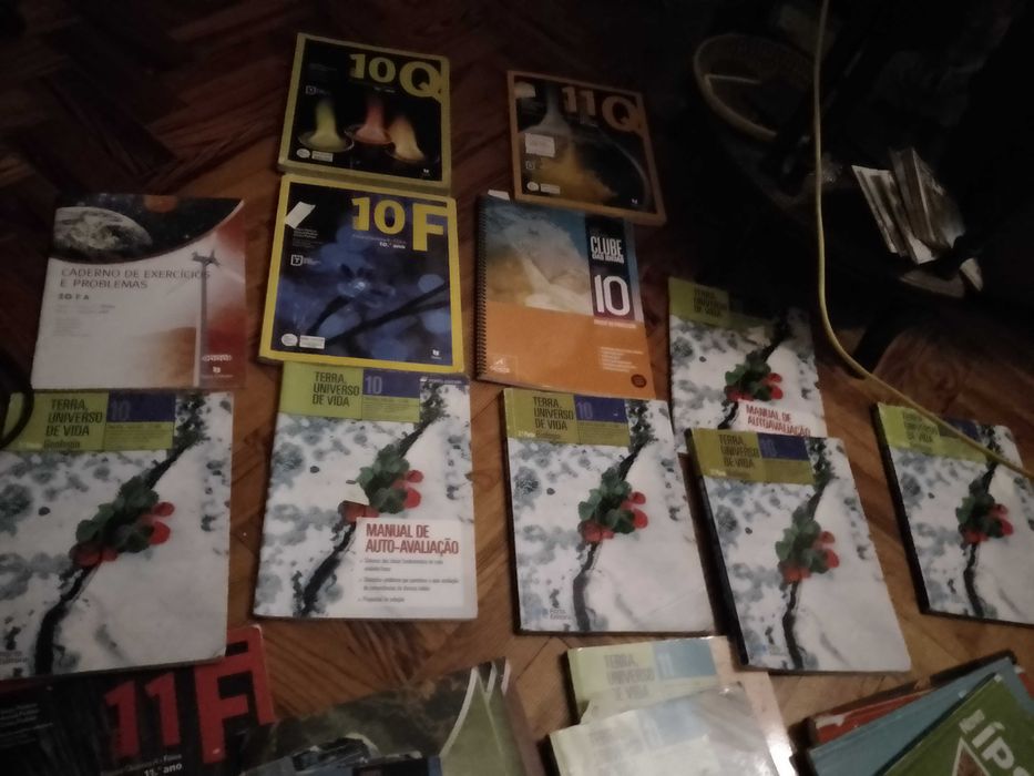 Manuais Escolares-Anos:10º/11º/12º/ tudo e mais Qualquer coisa Desde1E