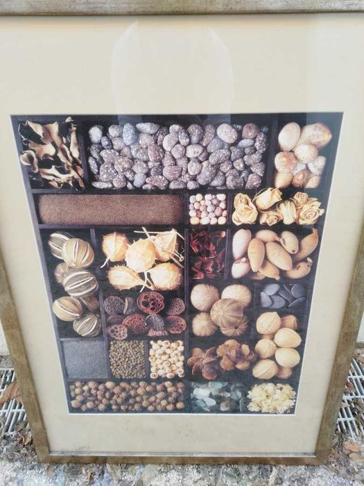 Quadros café para parede64739892981635122