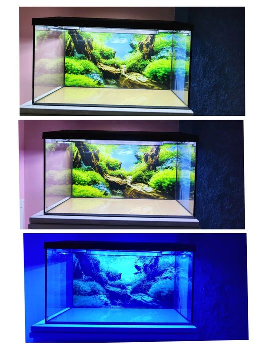 Akwarium 105 litrów plus wszystkie akcesoria ,filtr,grzałka, korzenie