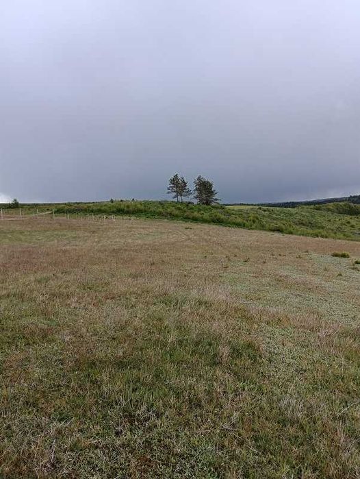 Działka rolna Stara Huta - Widok 3