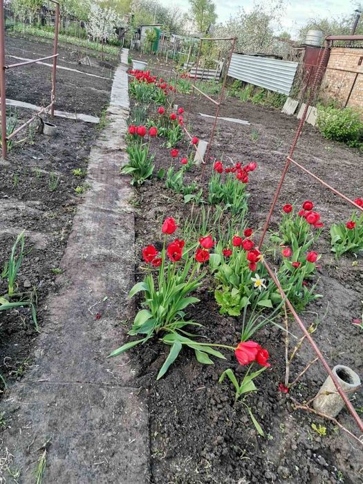 Продам будинок, ділянка 12 соток, р-н Міськсад.