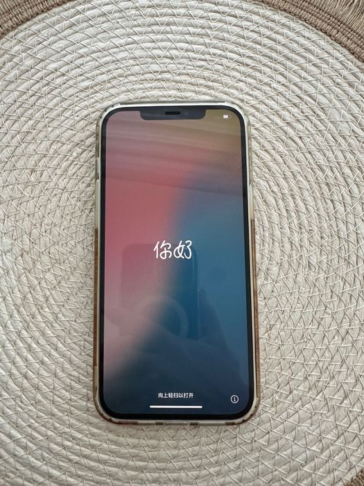 Apple iPhone 12 Pro Max