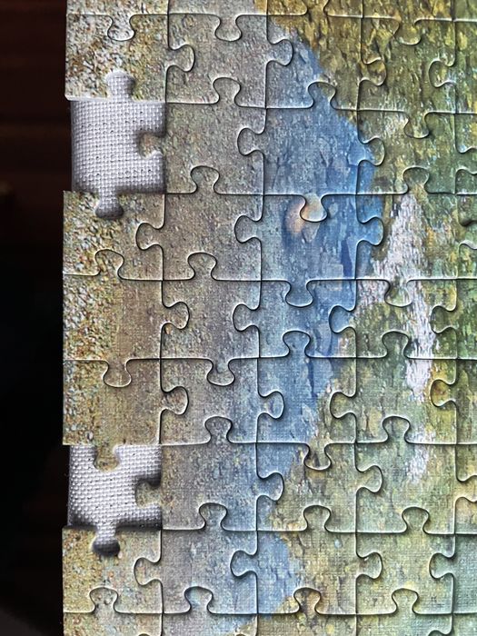 Puzzle 1000 Trefl