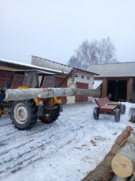 Chwytak samozaciskowy do drzewa