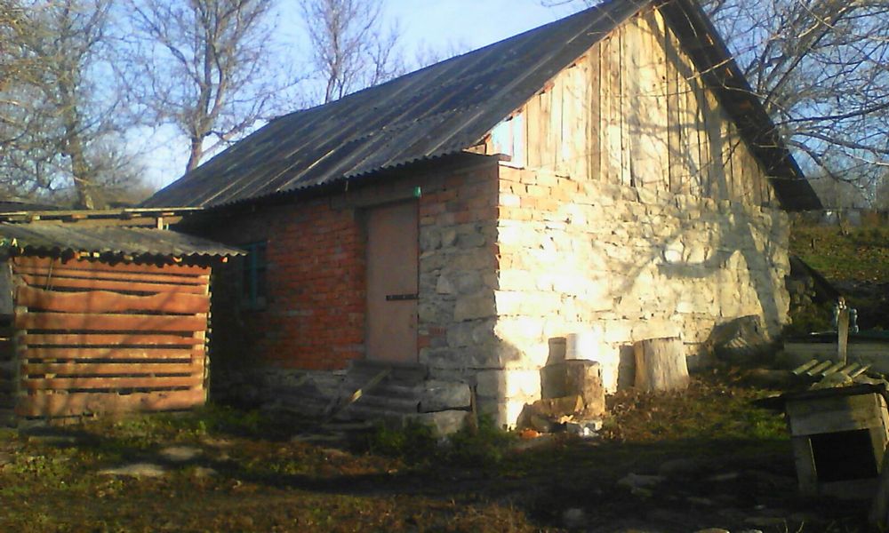 Будинок в селі біля Дністра