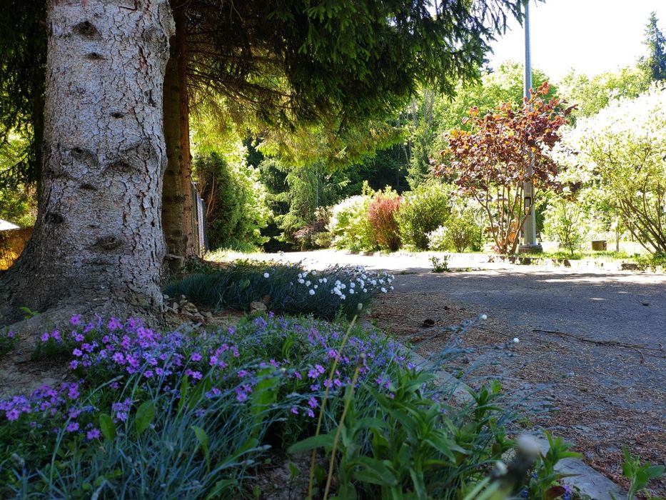 Mieszkanie Solina Sole