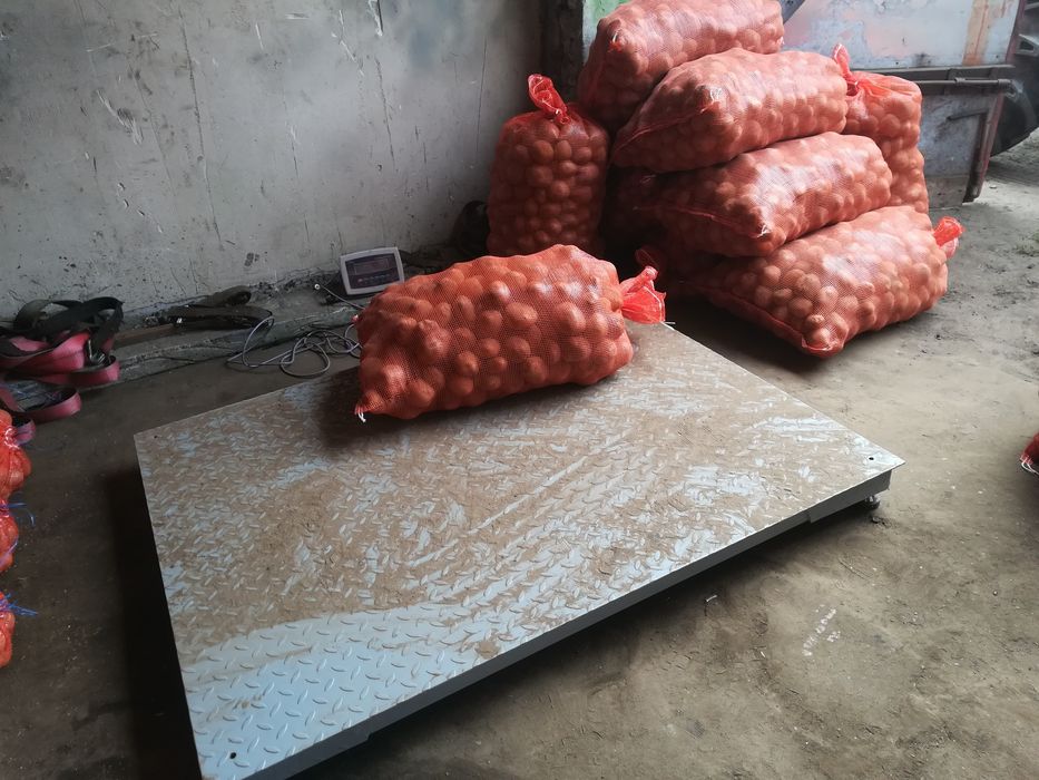 Ziemniaki vineta 2 zł/kg ładne duże smaczne