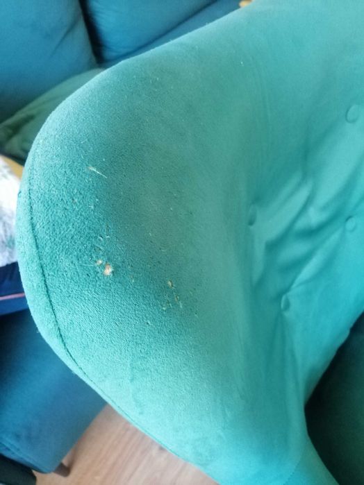 Fotel uszak ciemna zieleń