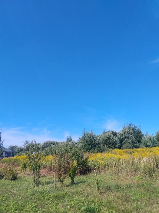 Продаж земельної ділянки в Мостиськах
