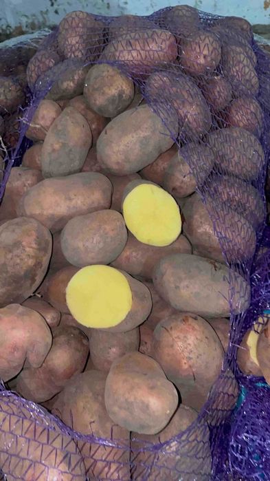 Картопля Товарна Гуртом, Якість із ПДВ