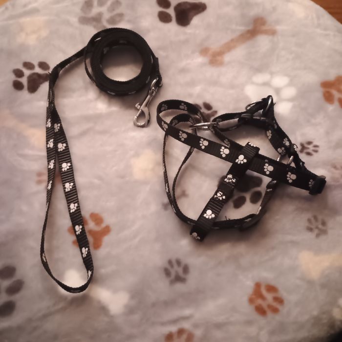 Szelki i smycze dla psa/kota