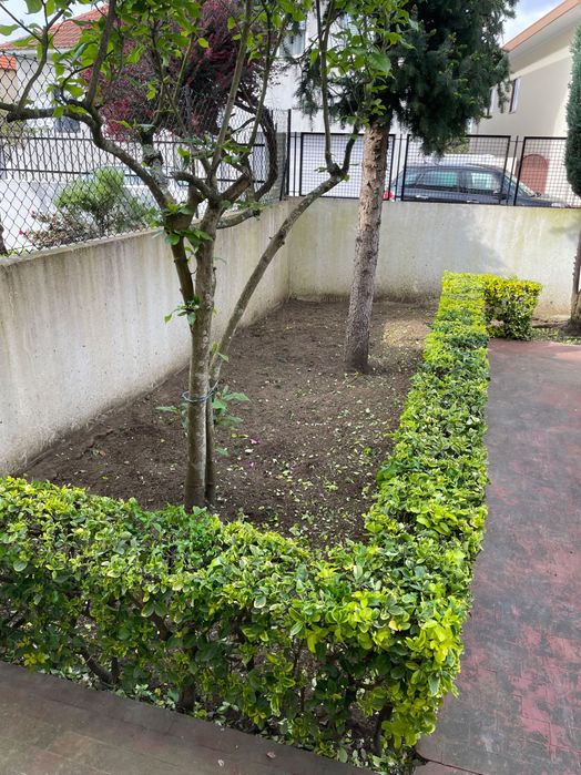 Serviço de jardinagem & Limpeza de terrenos