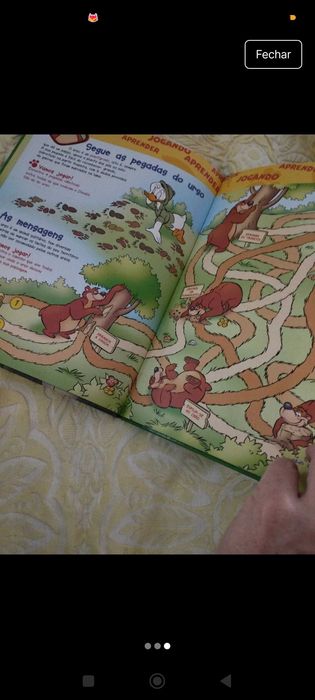 O Mundo Maravilhoso Os Ursos