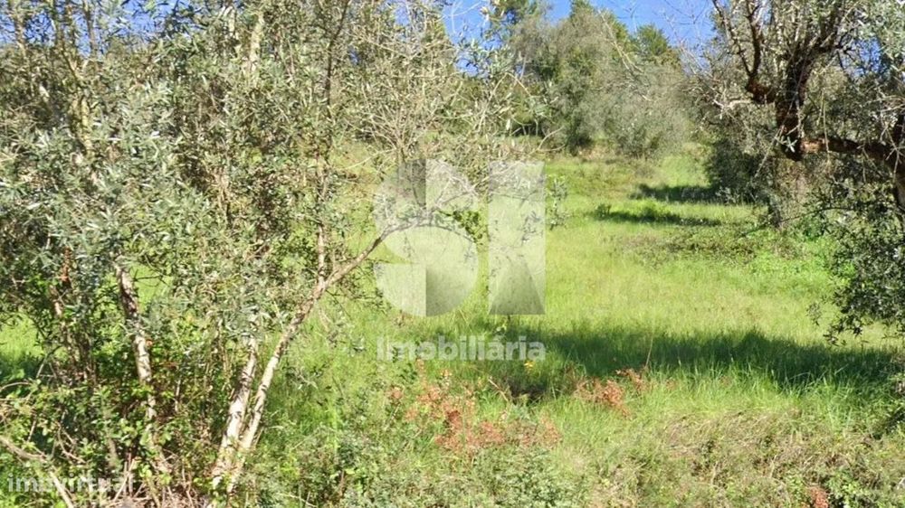Terreno em Coimbra