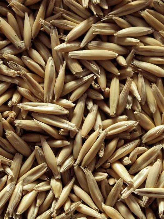 Продам овес