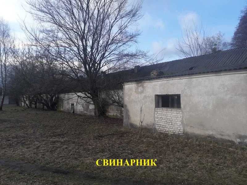 ПРОДАЖ - Свинарник, загальною площею 557,6 кв. м. с-ще. Маневичі