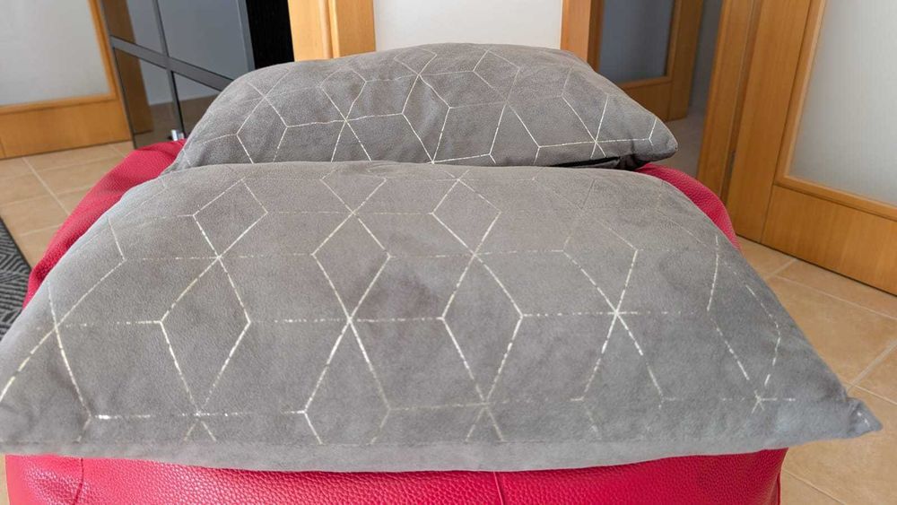 2x Almofadas decorativas