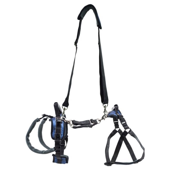 PetSafe peitoral suporte cães