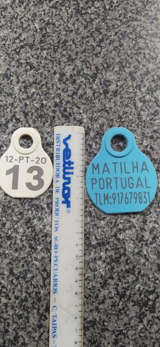 Coleiras identificação Cães - Matilhas