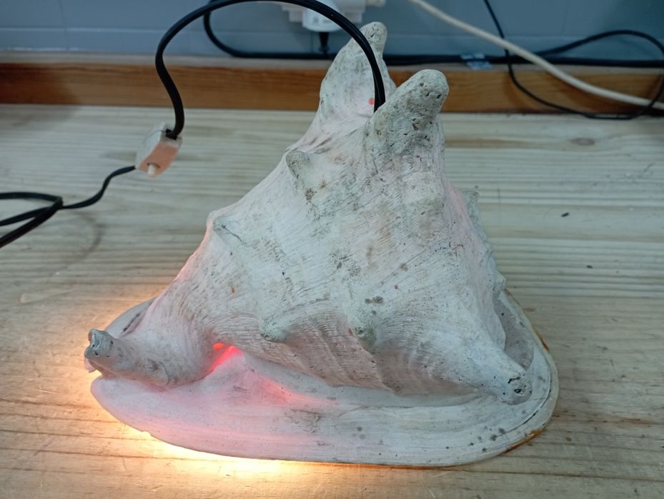 Búzio Grande Antigo Candeeiro