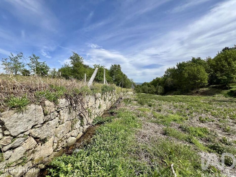 Terreno em Vouzela e Paços de Vilharigues de 26750,00 m2