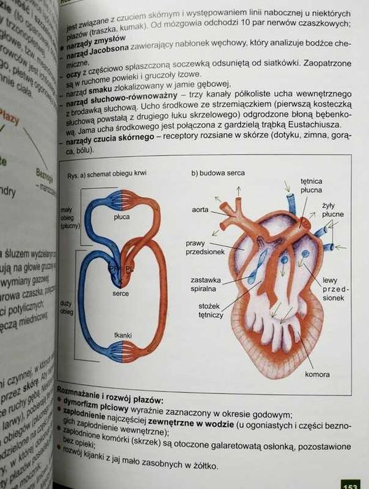Biologia. Repetytorium dla maturzystów