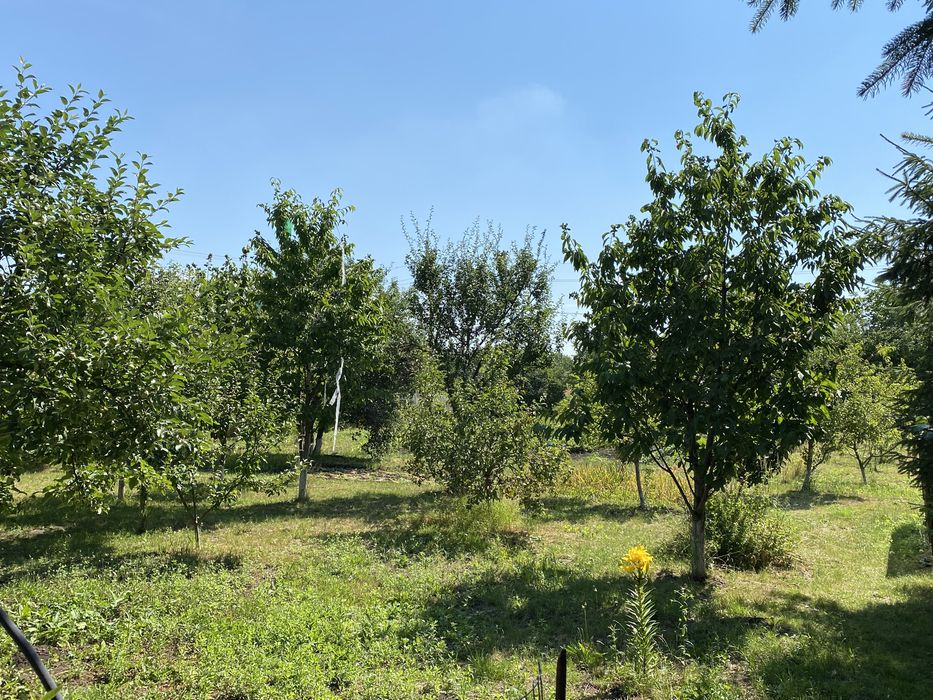 Будинок, особняк 15 хв від Львова 25 сотих , 364/166/19. с.Ременів.