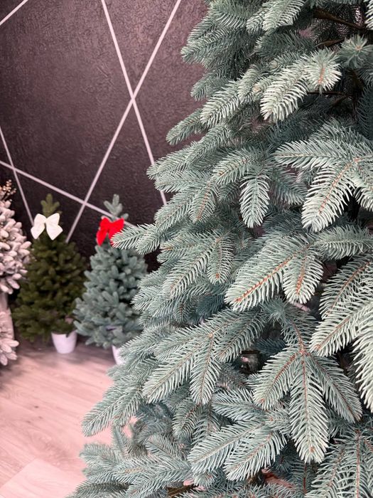 Лита ялинка Бельгійська Преміум ель, елка, сосна, топ!