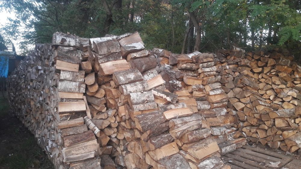 Suche Drewno opałowe i kominkowe