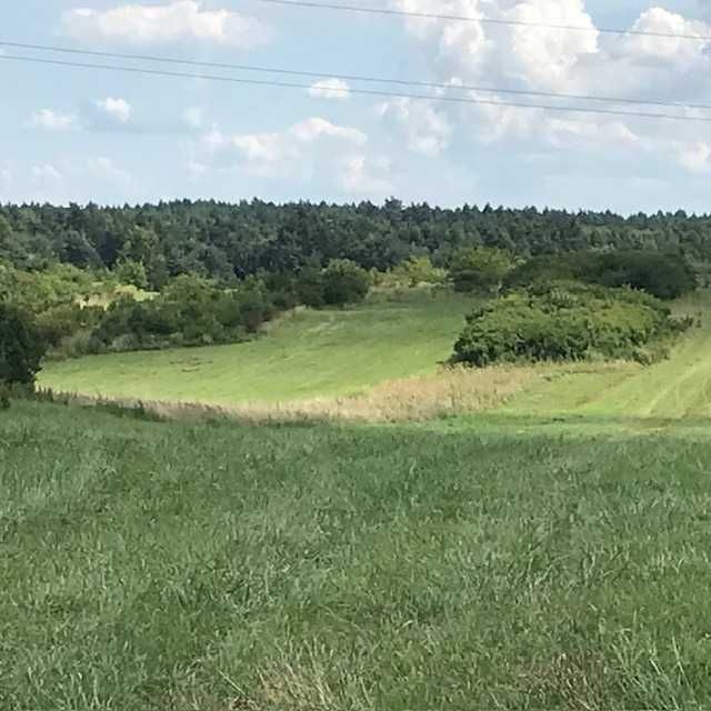 Działka widokowa 1.2  ha  BOLĘCIN