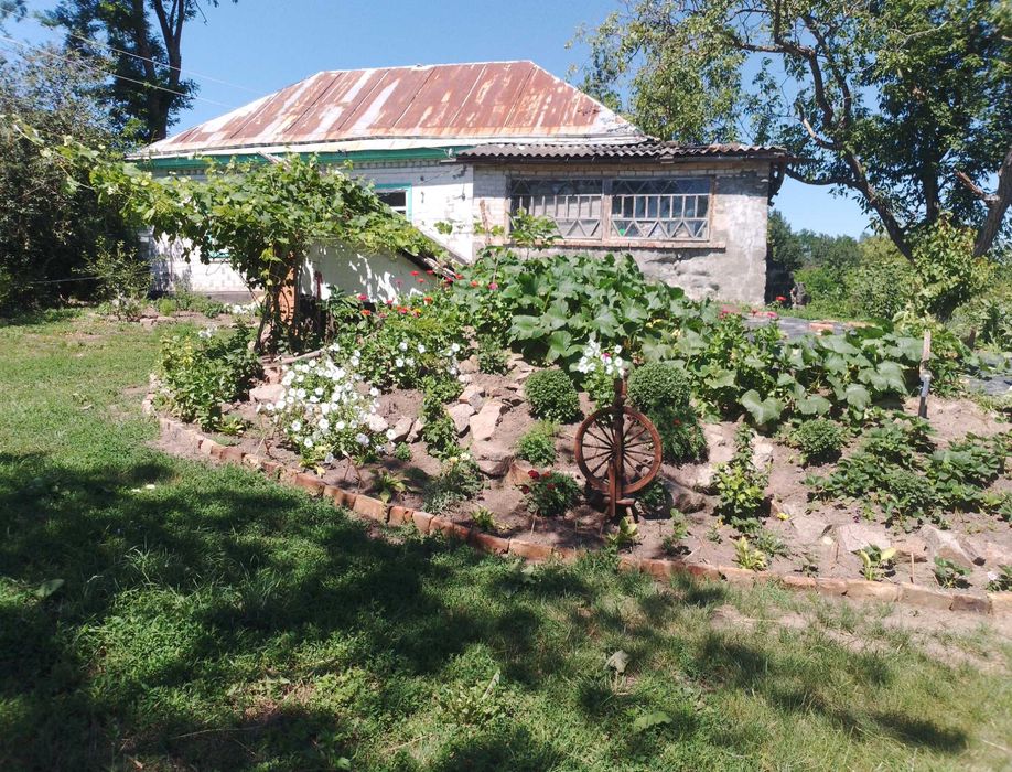 Продаж дачі,село Головківка Чигиринський район, Черкаської області