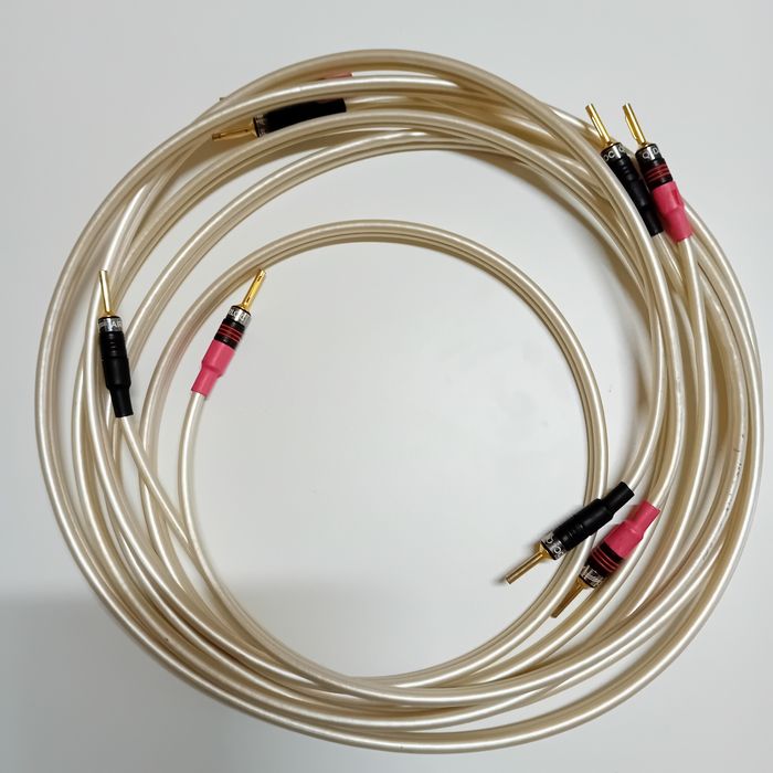 Cabos  de coluna Straightwire e Qed