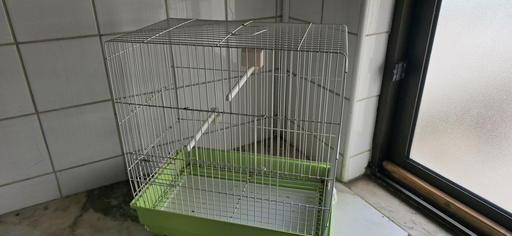 Gaiolas para canários