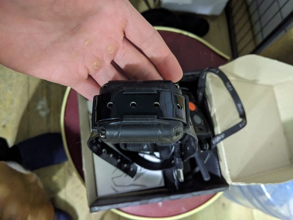 dogtra surestim m pro