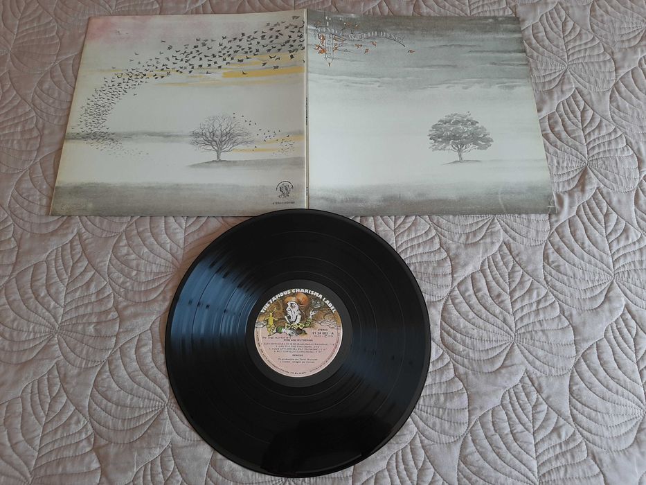 Queen – Madonna - Rolling Stones – Ike & Tina Turner – Genesis - Vinil LP