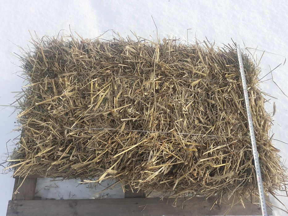 Słoma solidna kostka (90cm x 50cm x 50cm) (ROK 2025)