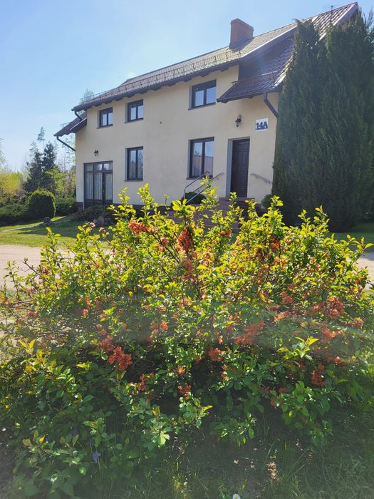 Pokoje nad samym jeziorem Węgorzyno, Sulęczyno