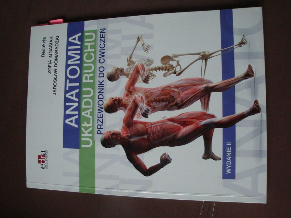 Anatomia układu ruchu przewodnik do ćwiczeń