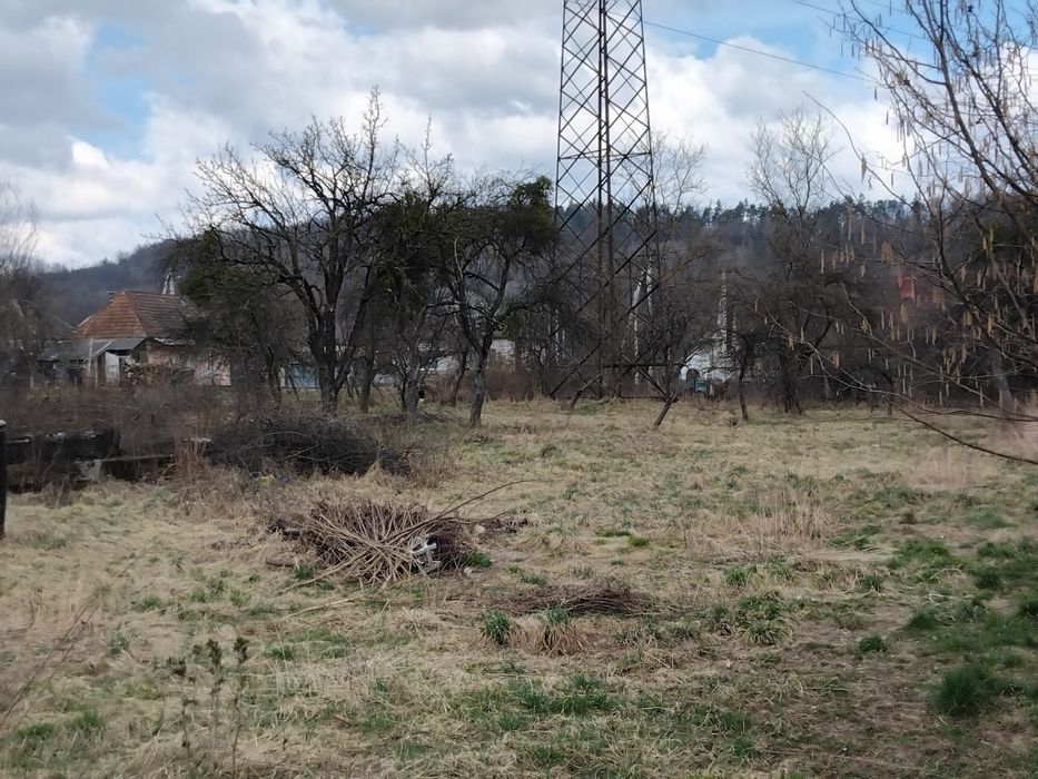 Продаю земельну ділянку с. ПОЛЯНА Закарпатської області