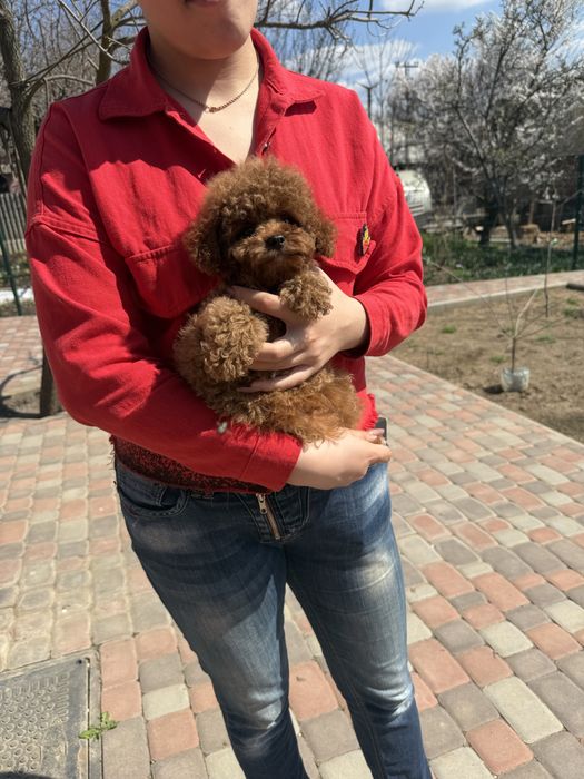 Тікап китай. Хлопчик