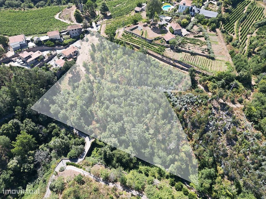 Terreno  para venda