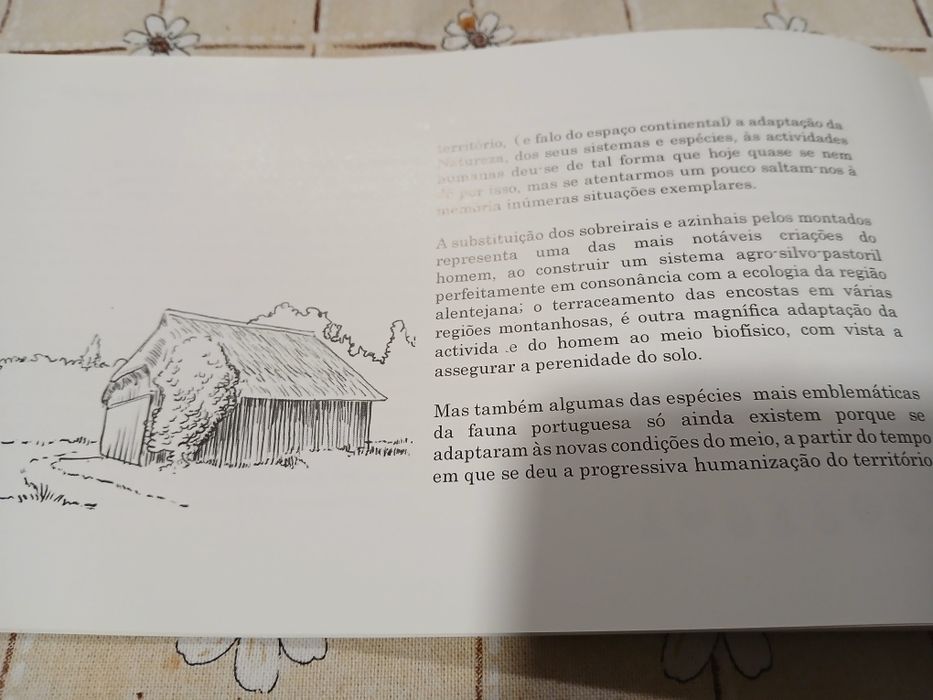 Áreas Protegidas e Turismo Conflito Intransponível?