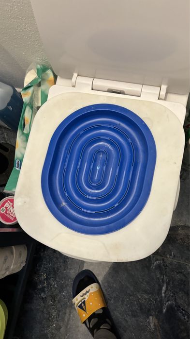 Kuweta dla kota na WC do nauki