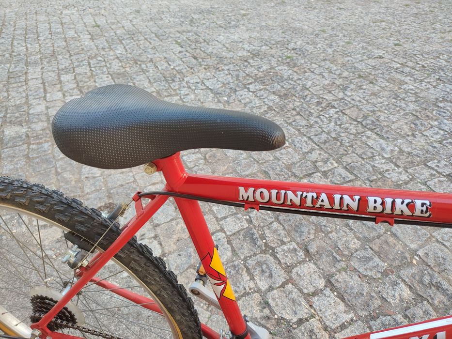 Bicicleta Montanha