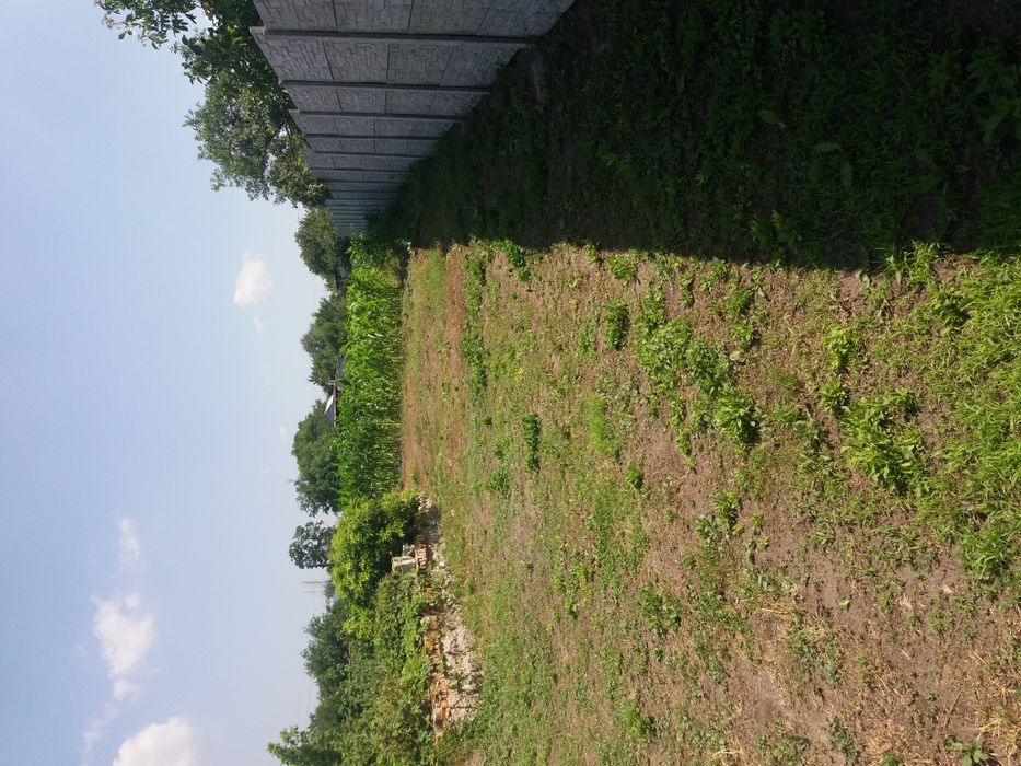 Участок 20 и 40 соток.